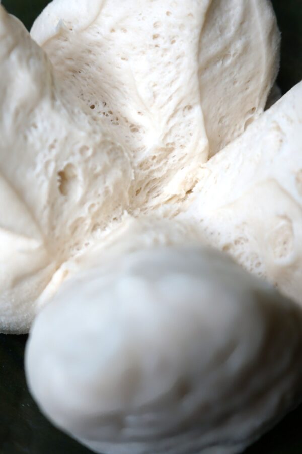 MADRE: Super- Dario (100g)-204