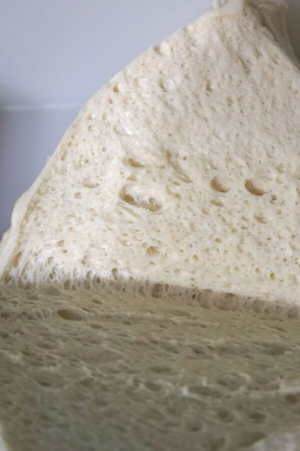 MADRE: Super- Dario (100g)-206