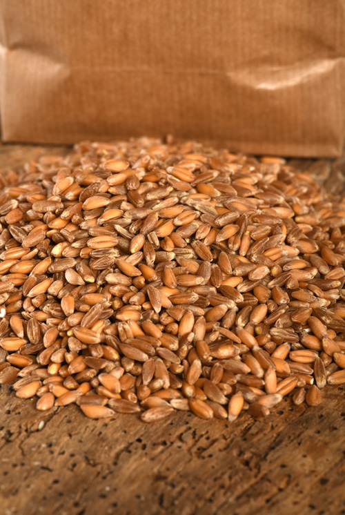 Emmer (Ramses, ganzes Korn) (1kg)-806