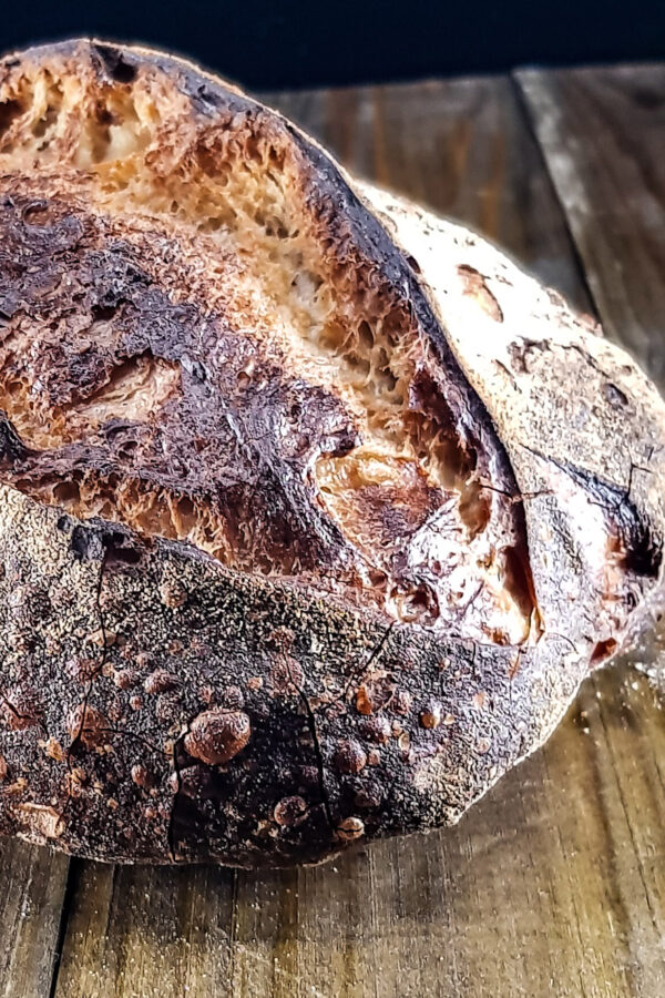 T80 Paysans (2kg)-61