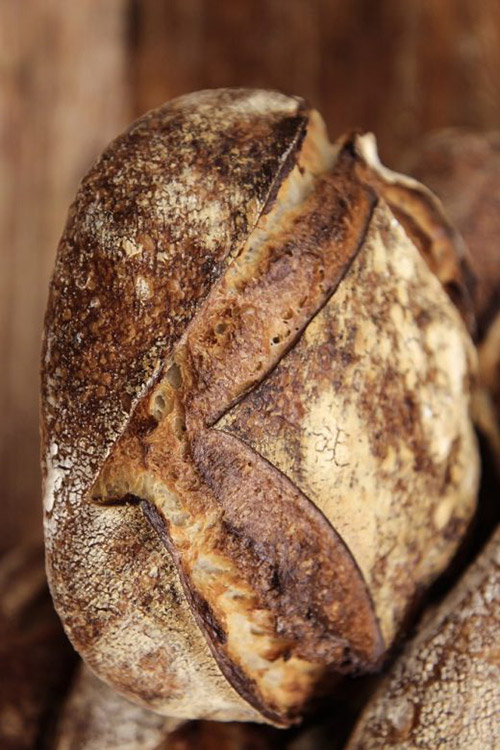 T80 Paysans (2kg)-63